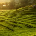 Mae Klang Luang