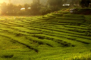 Mae Klang Luang