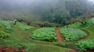 Doi Ang Khang