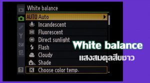 White balance แสงสมดุลสีขาว