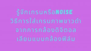 niose