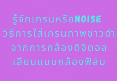 niose