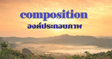 12 ข้อ การจัดองค์ประกอบภาพให้ภาพออกมาสวยงาม com