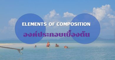 8 ข้อ ขององค์ประกอบเบื้องต้นในการถ่ายภาพ ( ELEMENTS OF COMPOSITION) องค์ประกอบเบื้องต้น