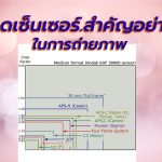 ขนาดเซ็นเซอร์ภาพสำคัญอย่างไร