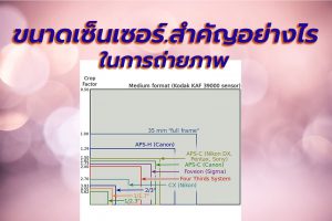 ขนาดเซ็นเซอร์ภาพสำคัญอย่างไร