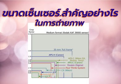 ขนาดเซ็นเซอร์ภาพสำคัญอย่างไร